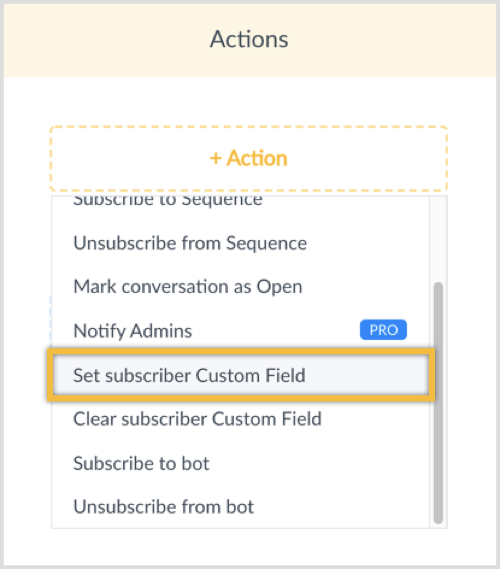 Clique no botão + Ação e selecione Definir campo personalizado do assinante.