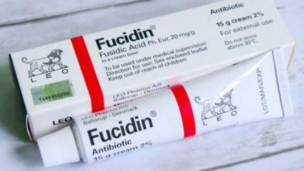 O que o creme Fucidin faz? Como usar o creme Fucidin? preço do creme de fucidina