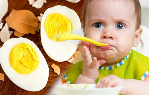 O ovo tem alergia? Receita de ovo para bebês