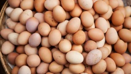 O que deve ser considerado ao escolher um ovo?