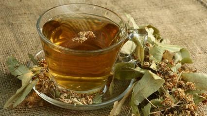 Quais são os benefícios do tília? Para quais doenças são boas? Como fazer chá de tília?