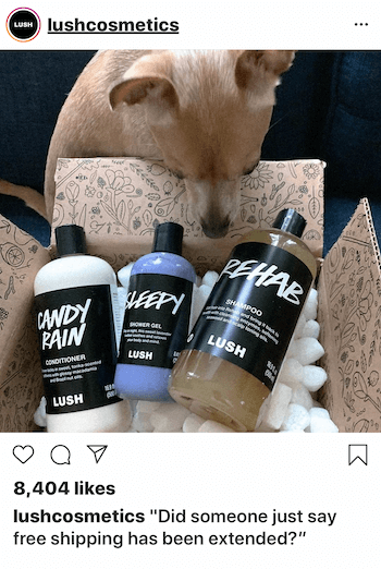 Postagem de negócios no Instagram com cachorro