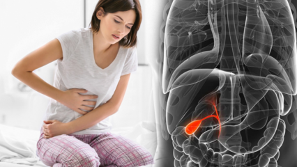 O que é câncer de vesícula biliar? Quais são os sintomas e existe tratamento?