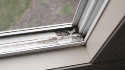 Como limpar peitoris da janela? 
