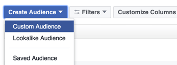 Clique na opção para criar um público personalizado do Facebook.