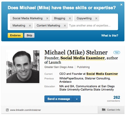 endosso de habilidades do michael stelzner no LinkedIn