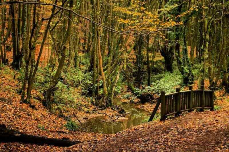 Parque Natural Polonezkoy