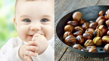 Saraçoğlu explicou os benefícios da castanha! Quantos meses o bebê pode comer castanhas? A castanha produz gás no bebê?