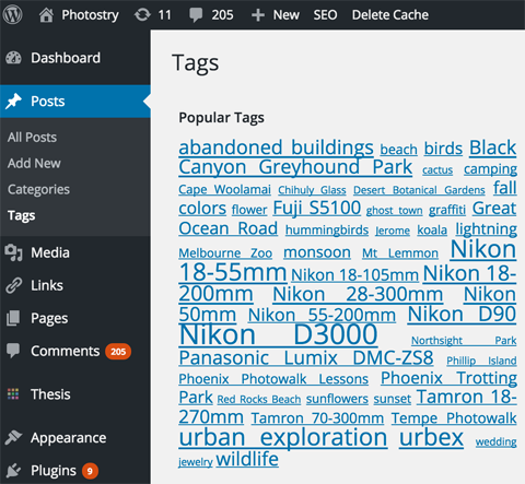 categorias e tags no wordpress