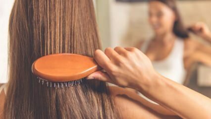 Sugestões de cuidados naturais para cabelos eletrificados em casa